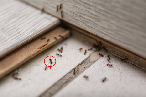 Best Commercial Pest Control Services  in Lewistown, PA