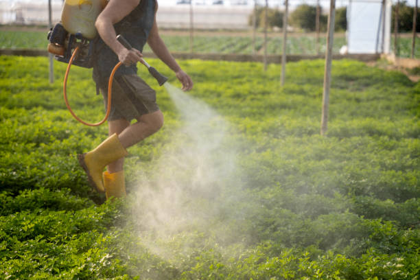Best Pest Inspection Near Me  in Lewistown, PA