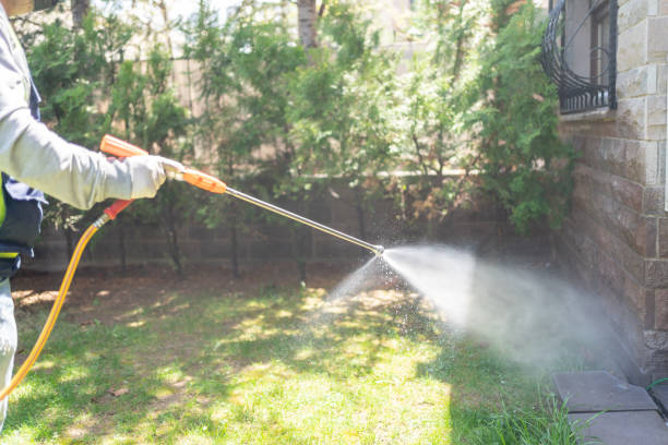Reliable Lewistown, PA Pest Control Solutions