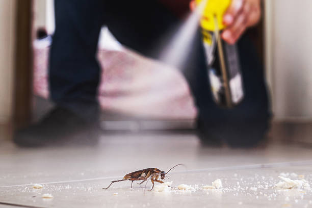 Best Pest Prevention Services  in Lewistown, PA